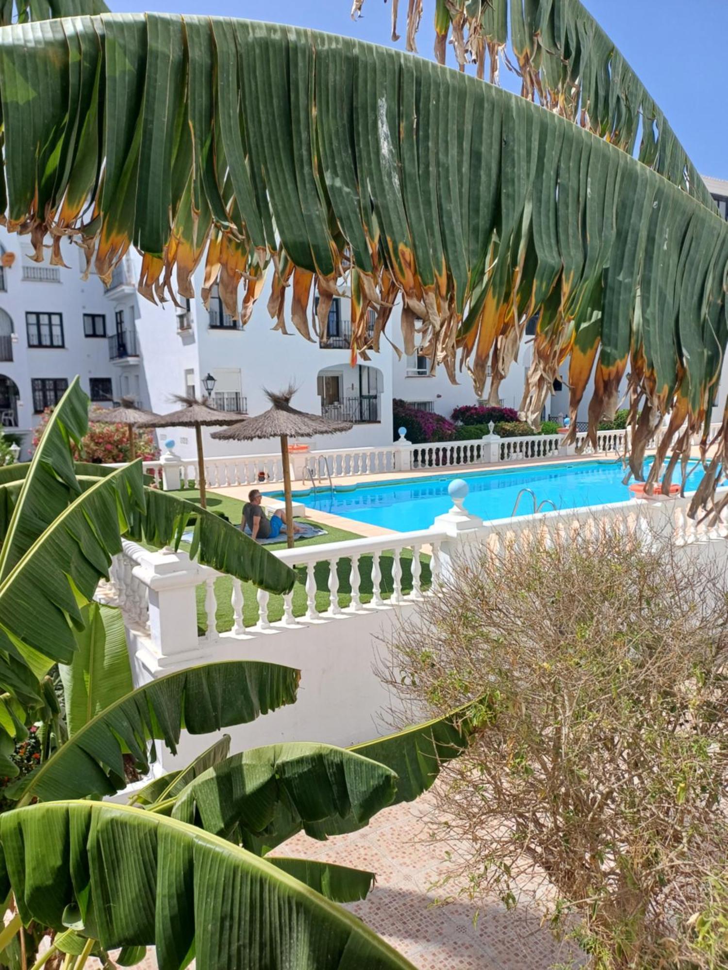 Beautiful Beachfront Newly Renovated 2 Bedroom Apartment With Swimming Pool And Garden San Luis de Sabinillas Exterior foto